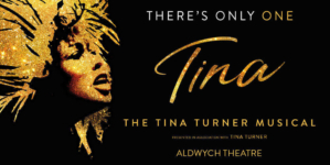 THE TINA TURNER MUSICAL